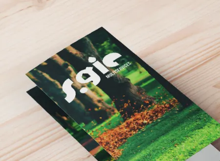 Flyers S.Gie sur fond de forêt
